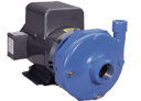 Goulds 3656 & 3756 Series End Suction Cent PumpsPart #:3656 3756 