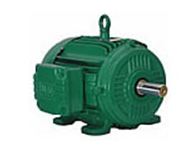Wilo ODP Foot-Mount Motors - NL and SCP