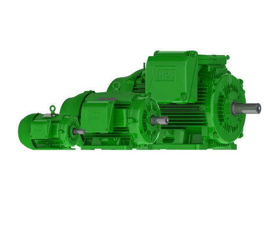 Weg  W22 Super Premium-1 HPPart #:00118EG3EL143T-W22