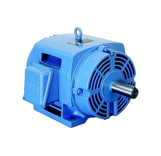 Weg  3-Phase ODP (IP21/IP23) High EfficiencyPart #:02036OP3E254T 