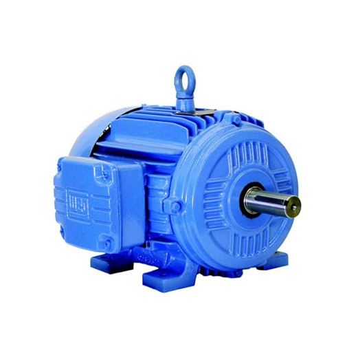 Weg  3-Phase W21 TEFC (IP55) - NEMA Premium Part #:00158ET3E145T