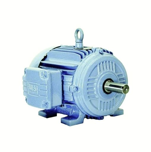 Weg  3-Phase: W21 TEFC (IP55) Severe DutyPart #:10018EP3ERB405T 