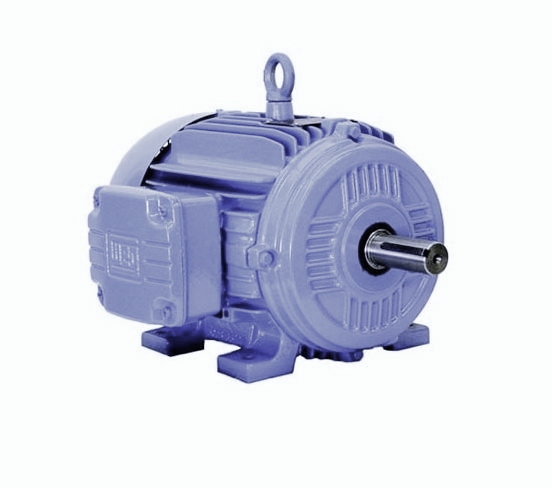 Weg  3-Phase: W21 TEFC (IP55) Severe DutyPart #:10018EP3GRB405T