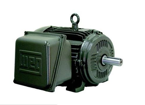 Weg  Single-Phase : W21 TEFC (IP55)Part #: 00736ES1E213T